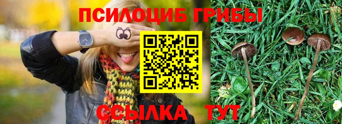 Псилоцибиновые грибы мухоморы  где купить   Вход с VPN  Аша  Псилоцибиновые грибы Cubensis 